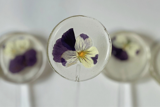 Viola Lollipop